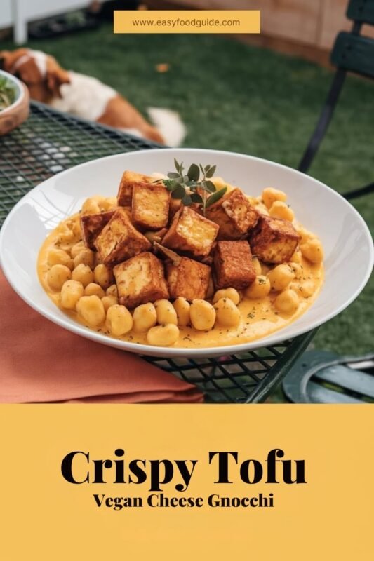 Crispy tofu and vegan cheese gnocchi in a bowl, with a dog in a sunny backyard.