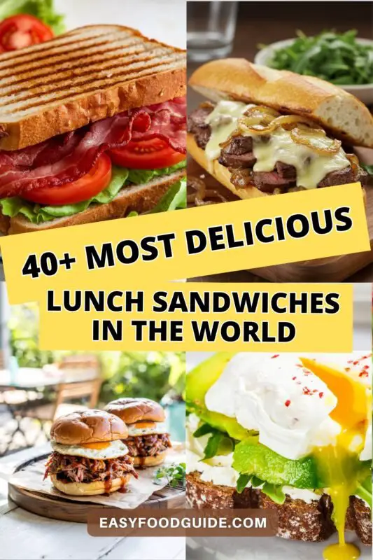 40 Plus Most Delicious Lunch Sandwiches in the World