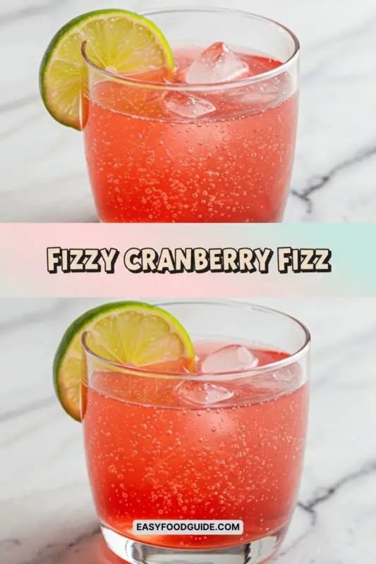 A refreshing fizzy cranberry drink with lime slices on a snowy outdoor bar.