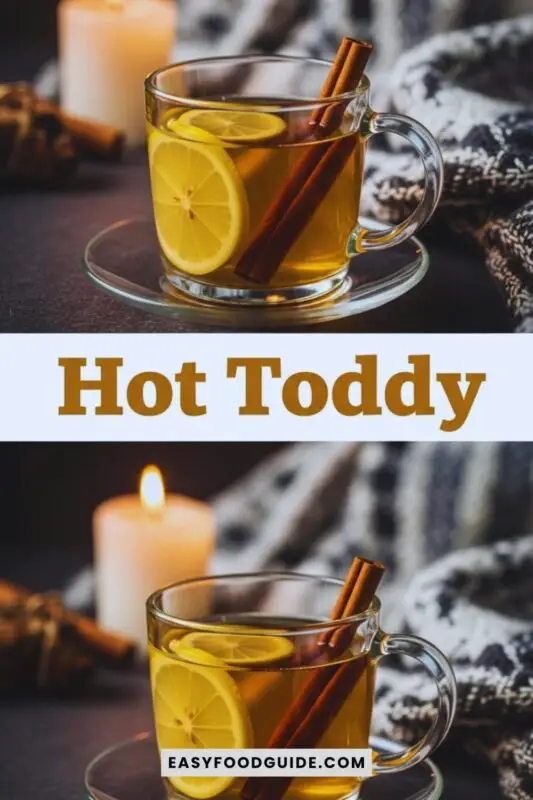 hot-toddy-2 A cozy Hot Toddy in a glass mug with lemon slice and cinnamon stick, set in a warm atmosphere.